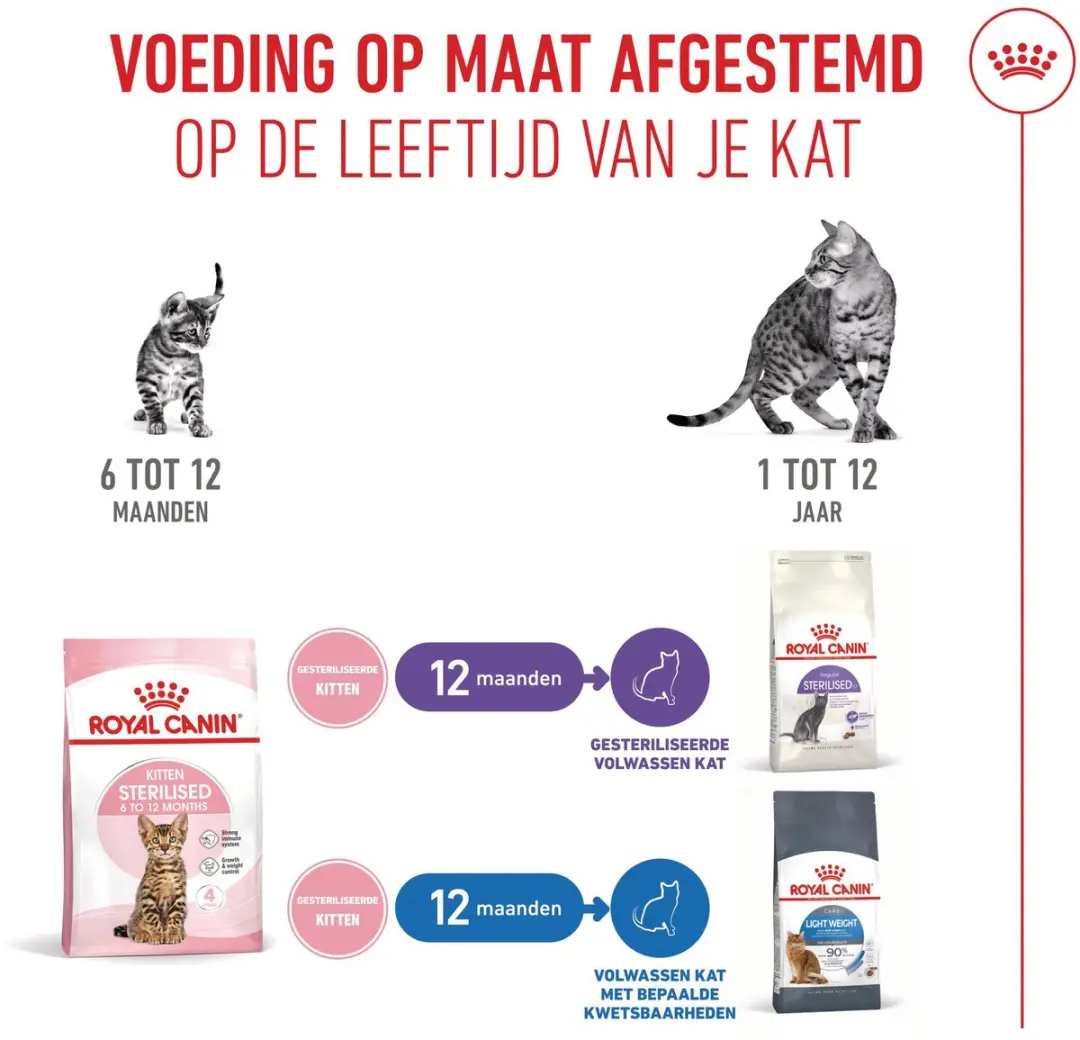 Royal Canin Kitten Sterilised Kittenvoer - 4x3,5kg - afbeelding 6 van 6