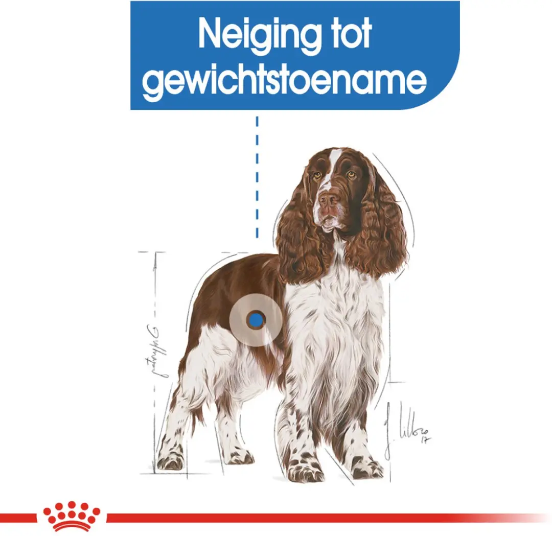 Royal Canin Light Weight Care Medium Hondenvoer - 3kg