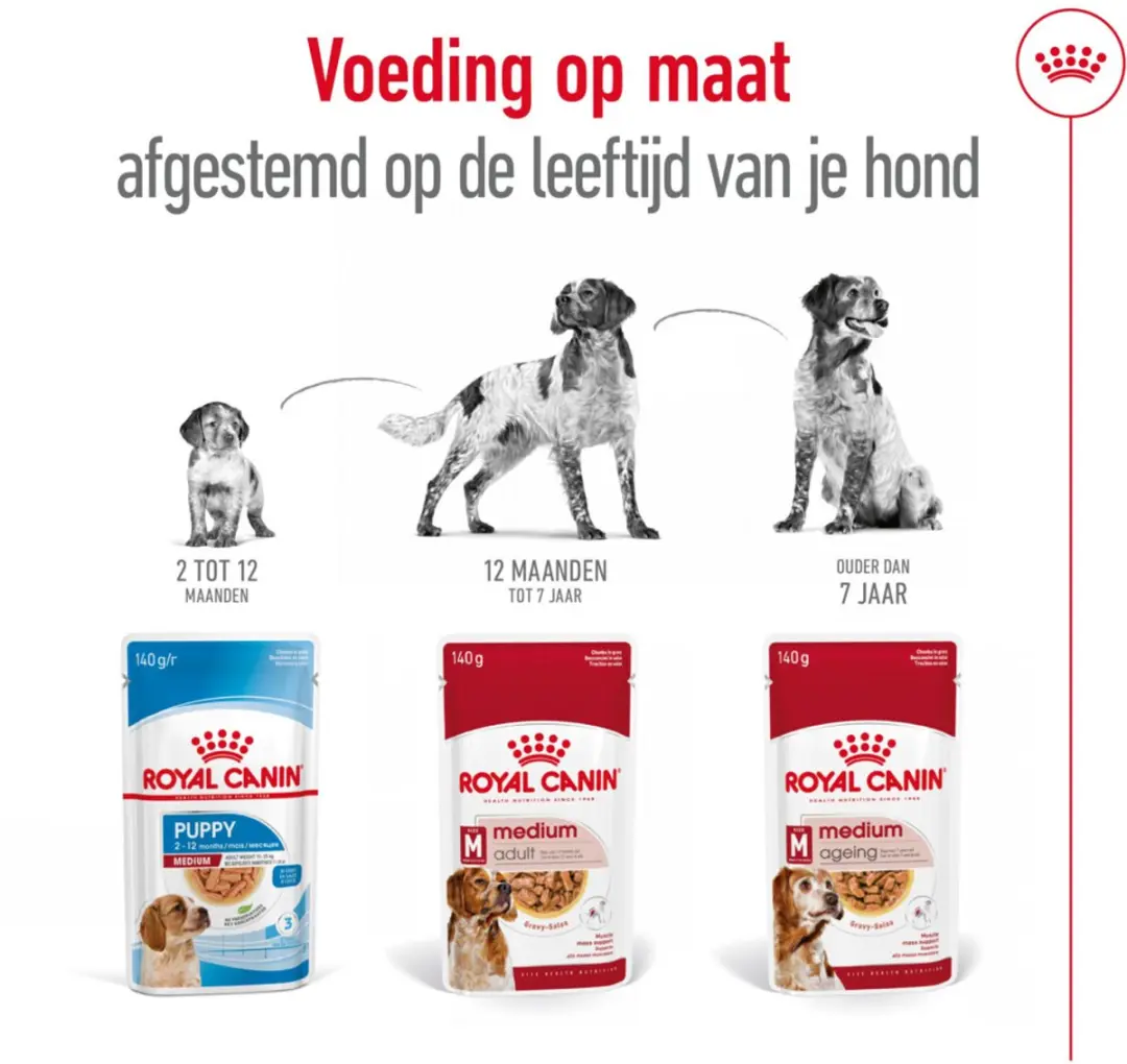 Royal Canin Medium Ageing 10+ Hondenvoer Nat - 40x140g