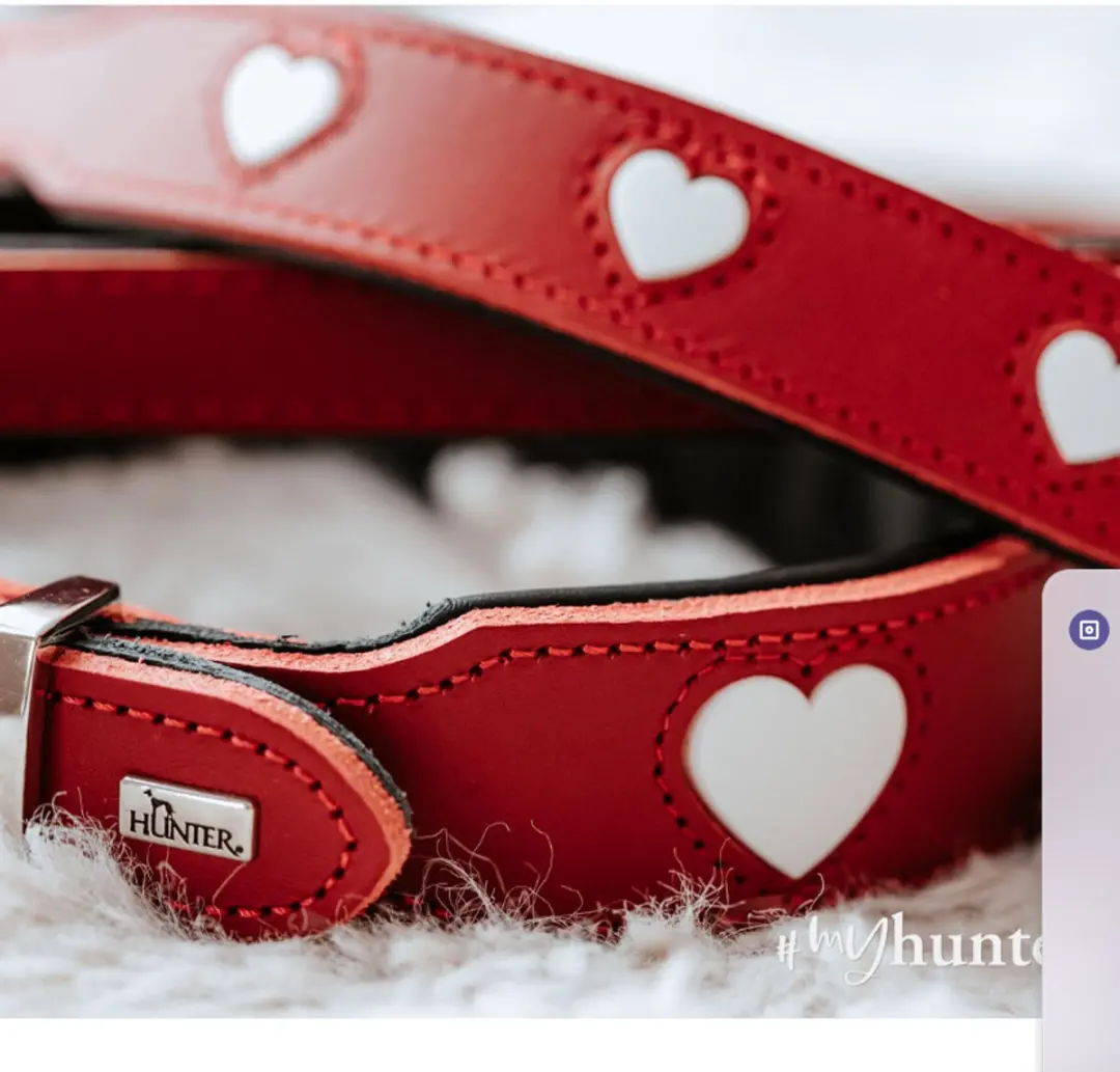 Hunter Collar Love Halsband - Rood M