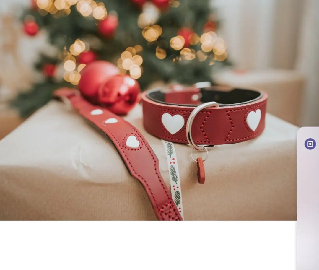 Hunter Collar Love Halsband - Rood M