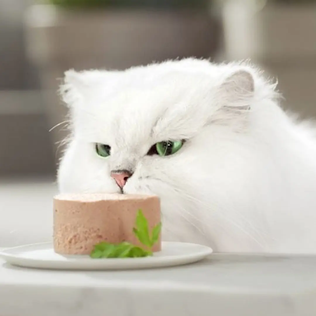 Gourmet Gold Mousse Kattenvoer Natvoer - 96 x 85g