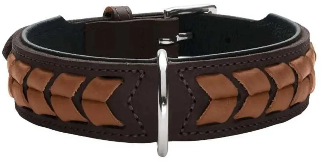 Hunter Hondenhalsband El Paso Bruin