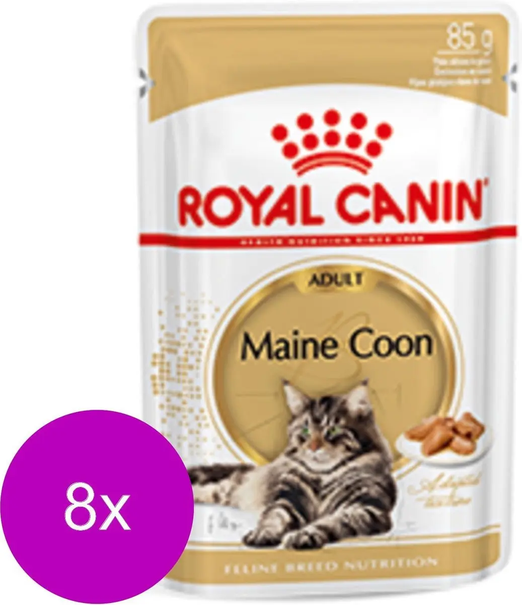 Royal Canin Maine Coon Adult Natvoer