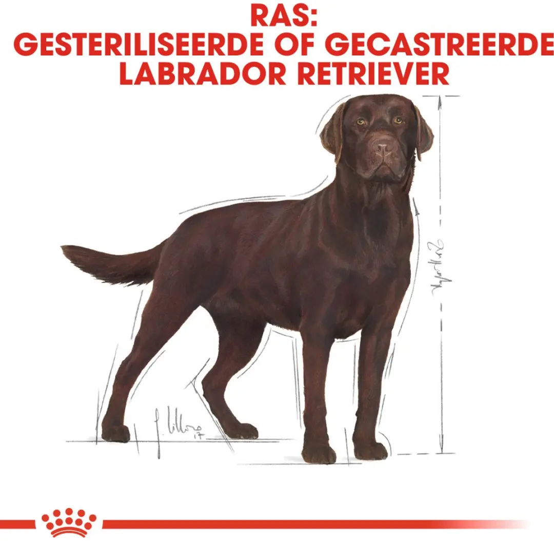 Royal Canin Labrador Retriever Sterilised Adult Hondenvoer 3kg