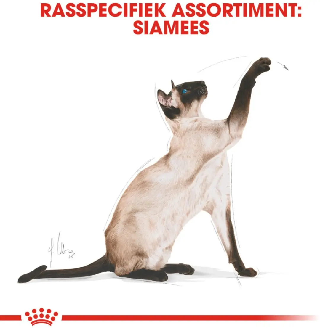 Royal Canin Siamese Adult Kattenvoer - 6x2kg