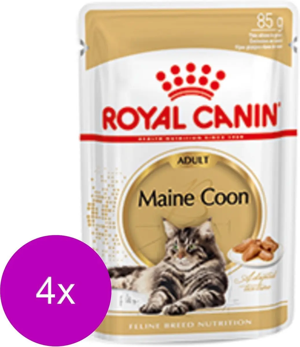 Royal Canin Kattenvoer Nat Maine Coon Loaf - 48x85g