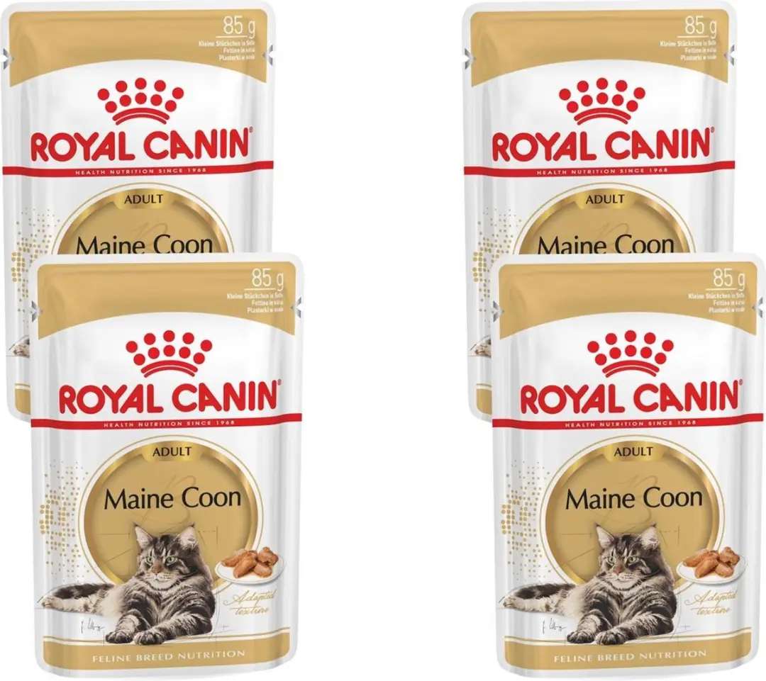 Royal Canin Kattenvoer Nat Maine Coon Loaf
