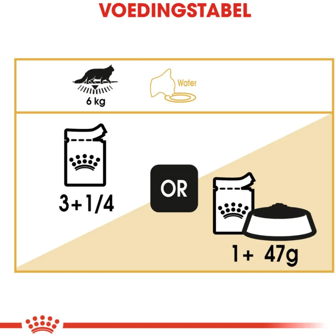 Royal Canin Kattenvoer Nat Maine Coon Loaf - 48x85g
