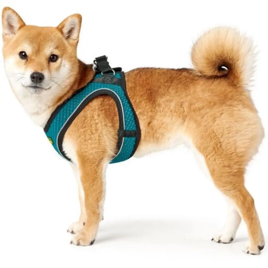 Hunter Hilo-Comfort Hondentuigje S - 42-48 cm - Turkoois