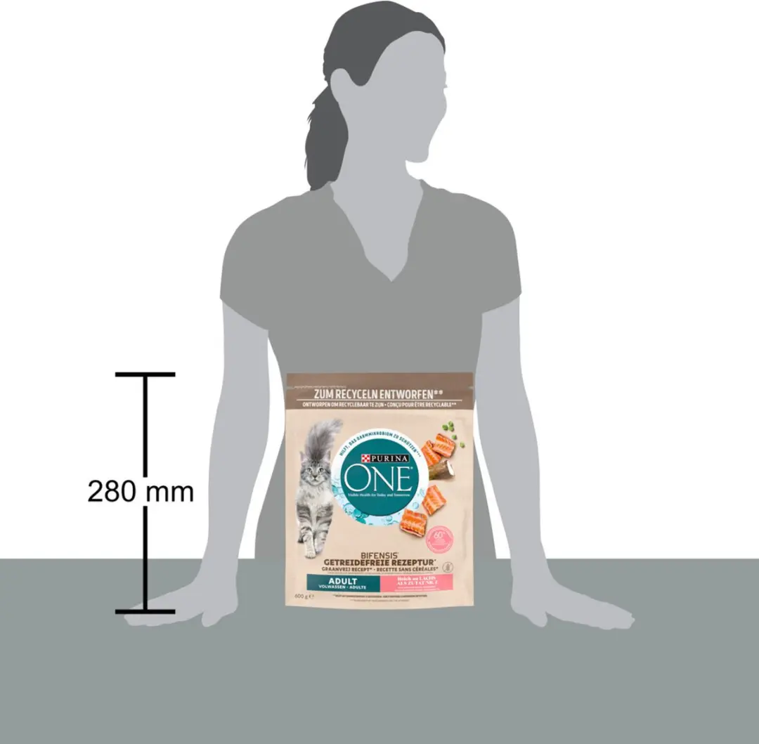 Purina ONE Droog Kattenvoer Adult Zalm 600g
