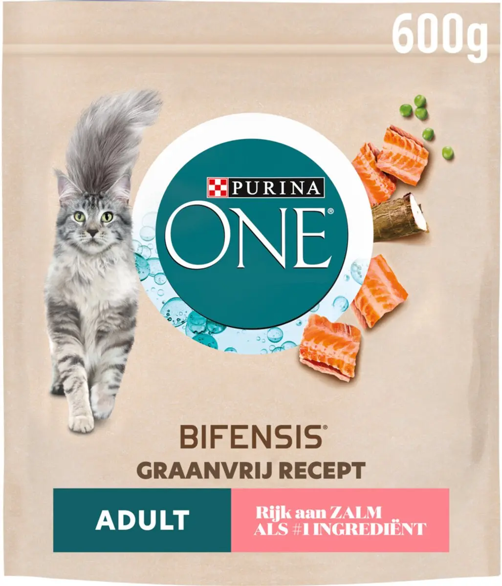 Purina ONE Droog Kattenvoer Adult Zalm 600g