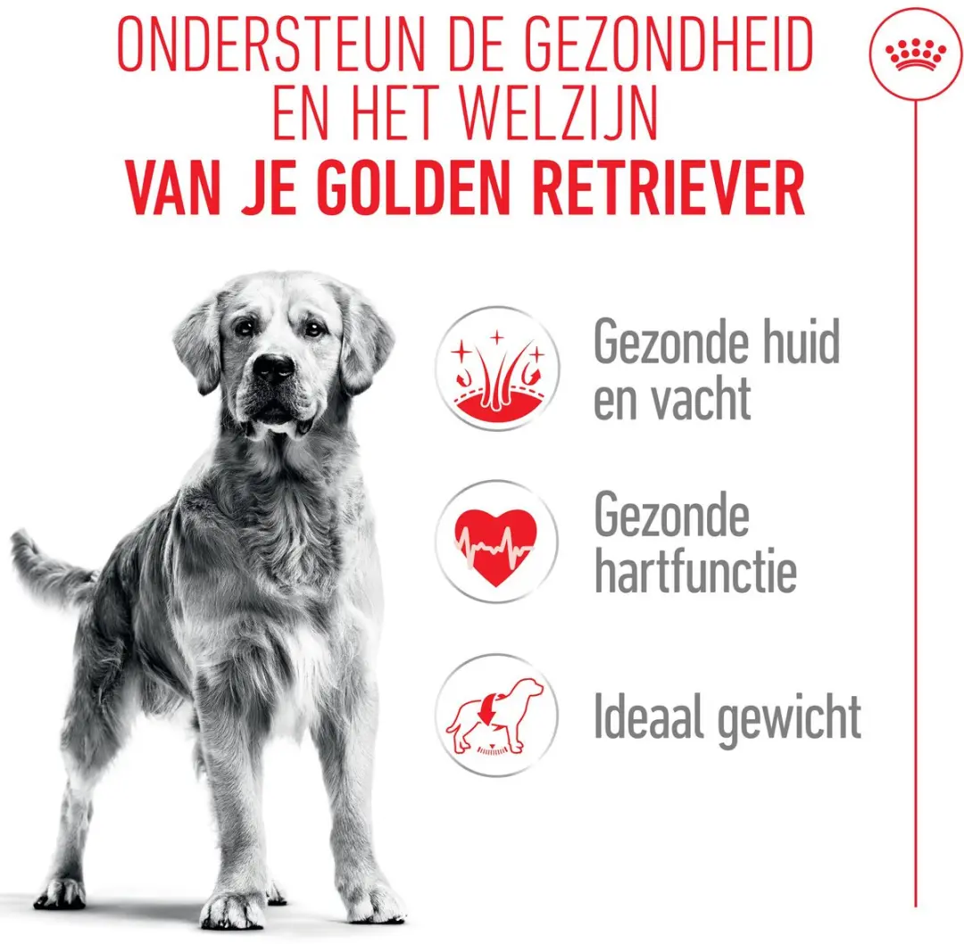Royal Canin Golden Retriever Adult 15kg