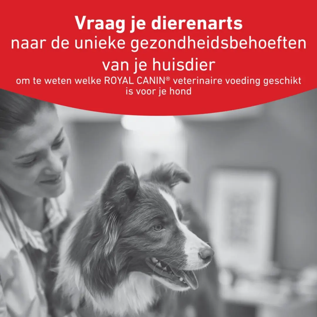 Royal Canin Glycobalance Small Dog 1,5kg