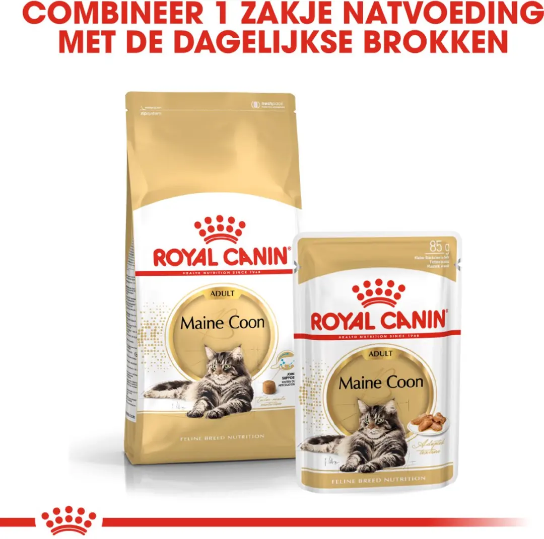 Royal Canin Maine Coon Adult Kattenvoer - 10kg