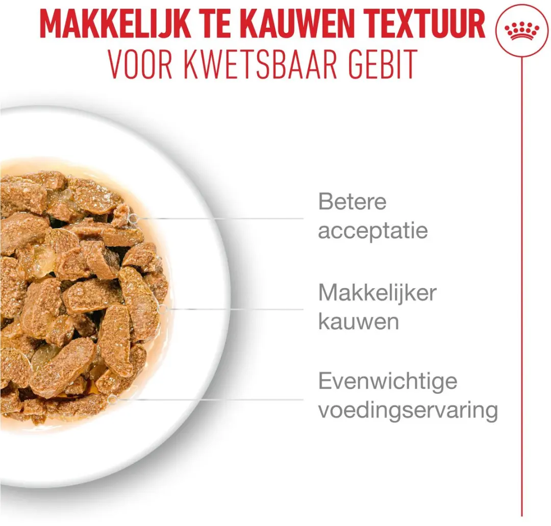 Royal Canin Kattenvoer Nat Jelly Ageing 11+ - 12x85g