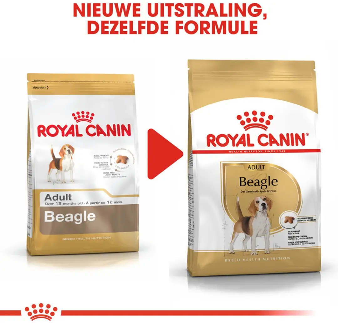 Royal Canin Beagle Adult Hondenvoer - 12kg