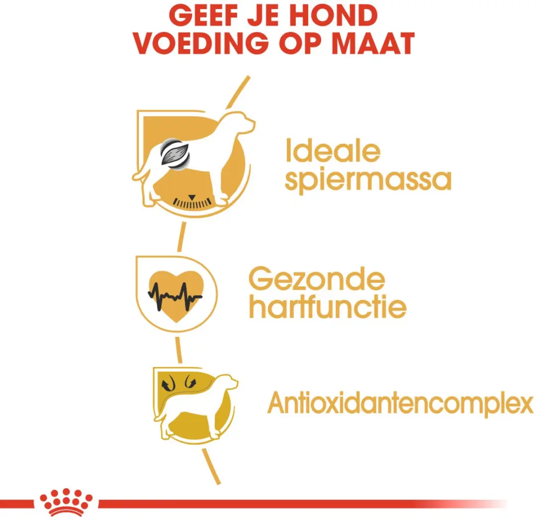 Royal Canin Boxer Adult Hondenvoer - 12 kg