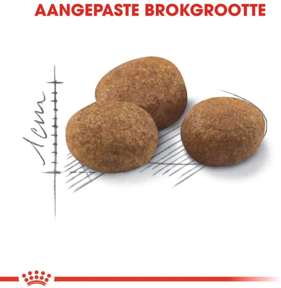 Royal Canin Sterilised 7+ Kattenvoer - 12x400g