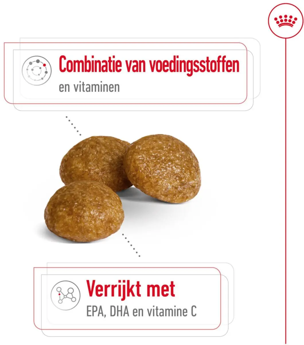 Royal Canin X-Small Adult 8+ Hondenvoer - 6x1,5kg