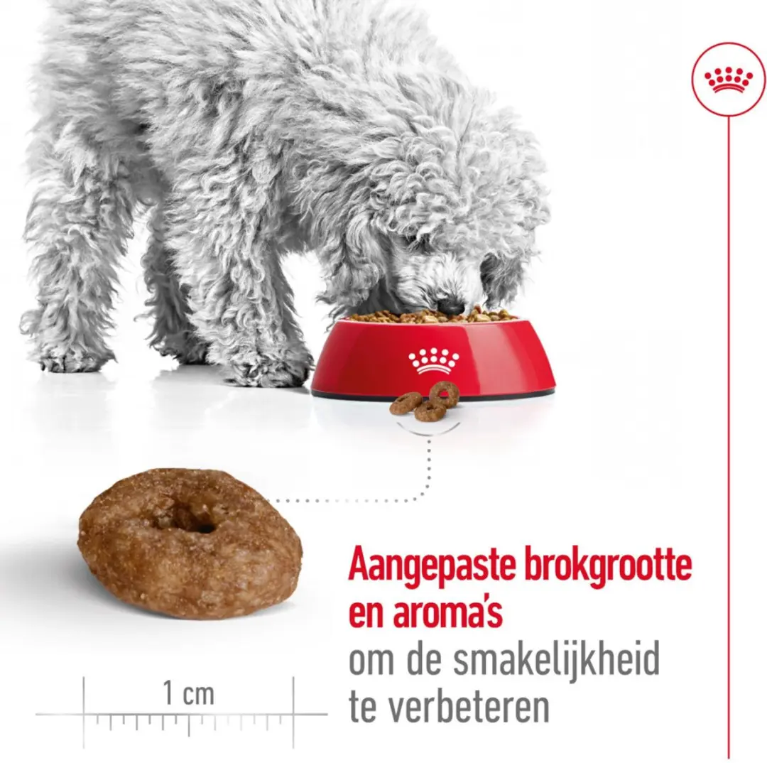Royal Canin Mini Ageing 12+ Hondenvoer - 6x1,5kg