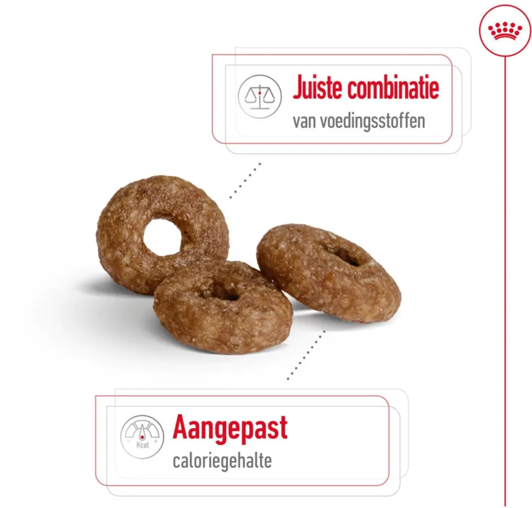Royal Canin Mini Ageing 12+ Hondenvoer - 6x1,5kg