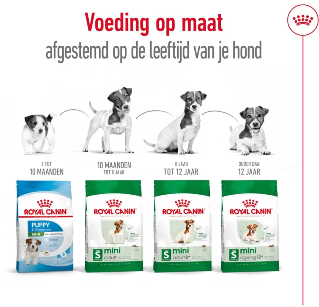 Royal Canin Mini Ageing 12+ Hondenvoer - 6x1,5kg