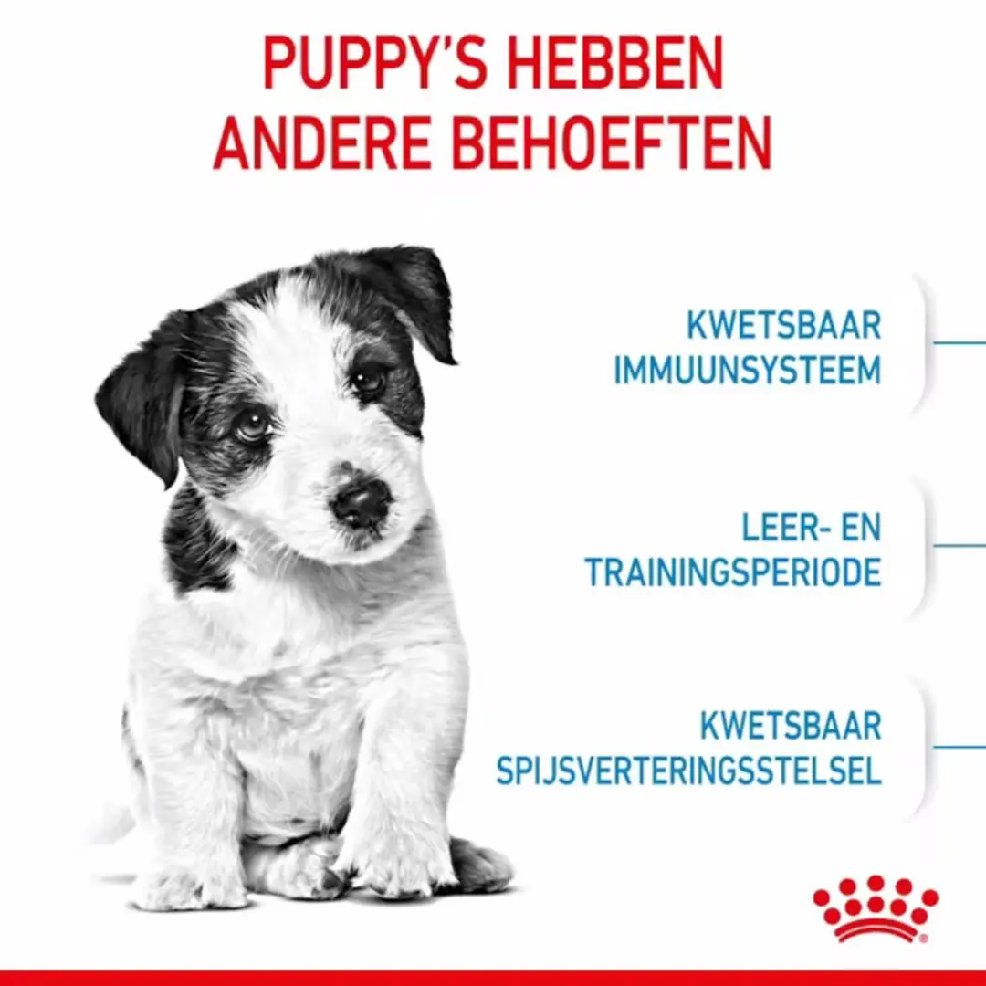 Royal Canin Mini Puppy Hondenvoer - 2x4kg