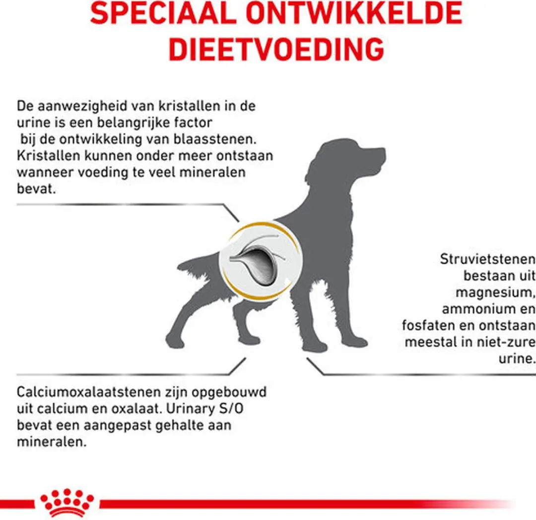 Royal Canin Urinary S/O Small Dog - 48x100g