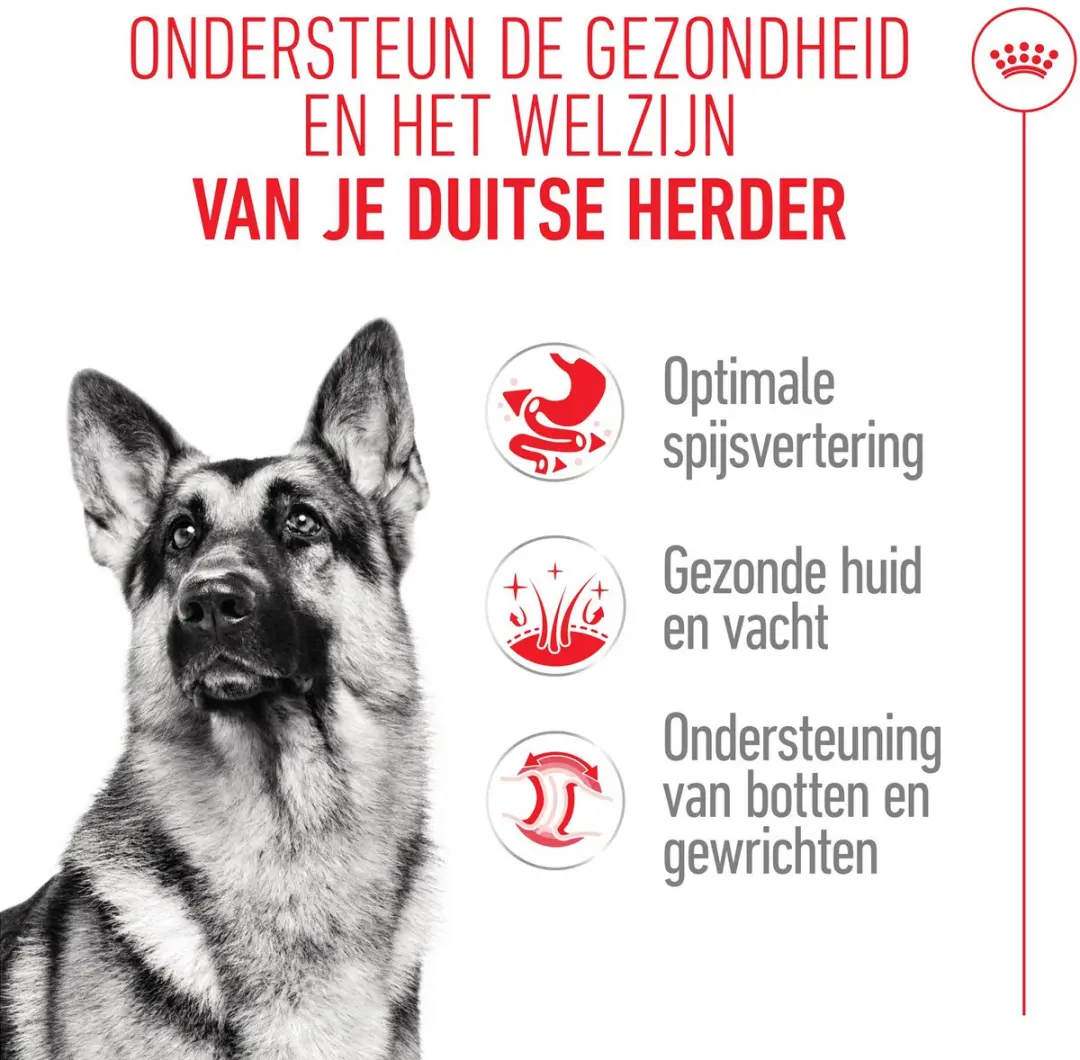 Royal Canin German Shepherd Adult Hondenvoer - 3kg