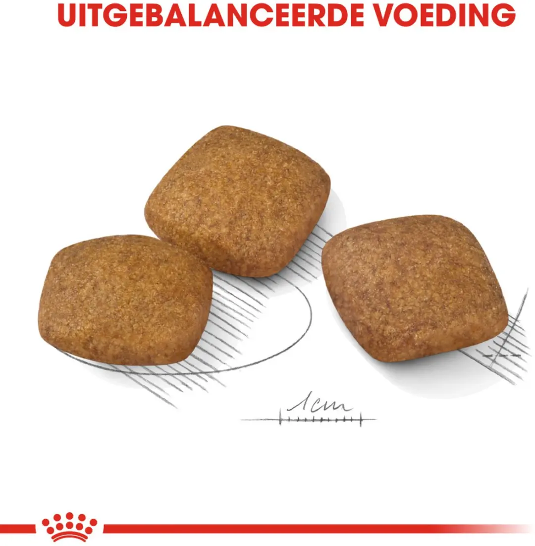 Royal Canin Relax Care Maxi Hondenvoer - 9 kg