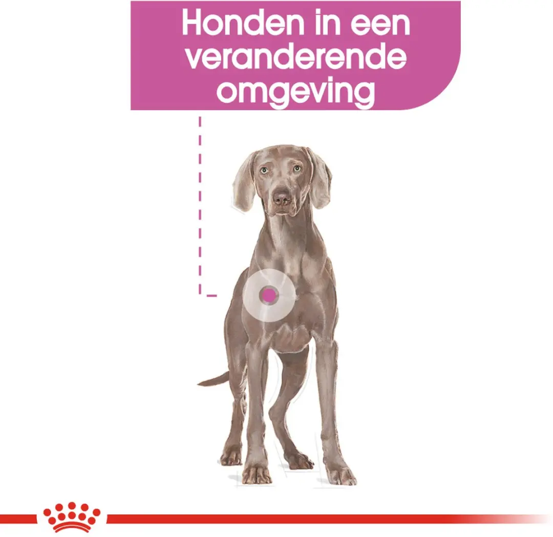 Royal Canin Relax Care Maxi Hondenvoer - 9 kg