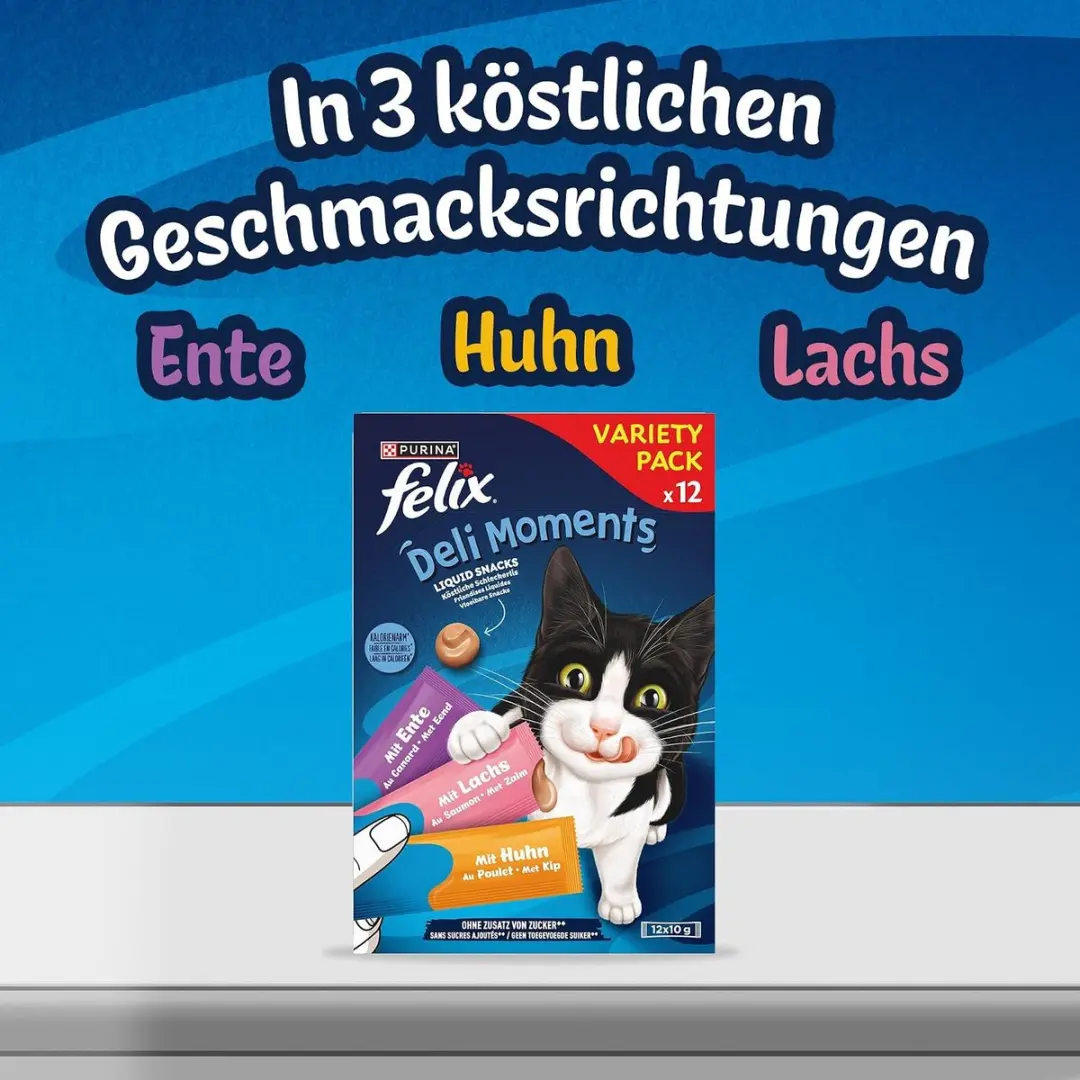 Felix Deli Moments Kip - 48 Stuks (1x48x10g)