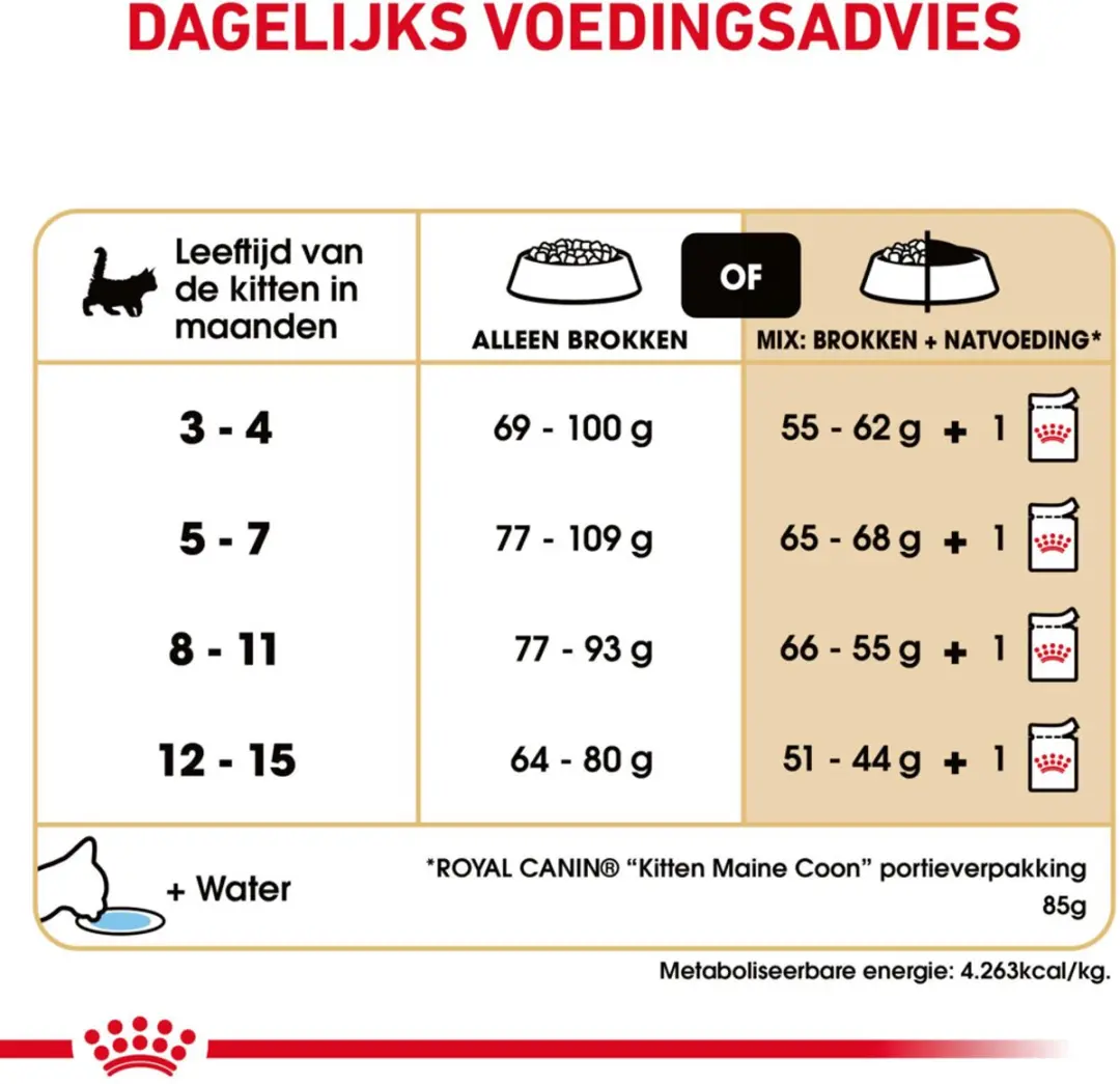 Royal Canin Maine Coon Kitten - 4x4kg