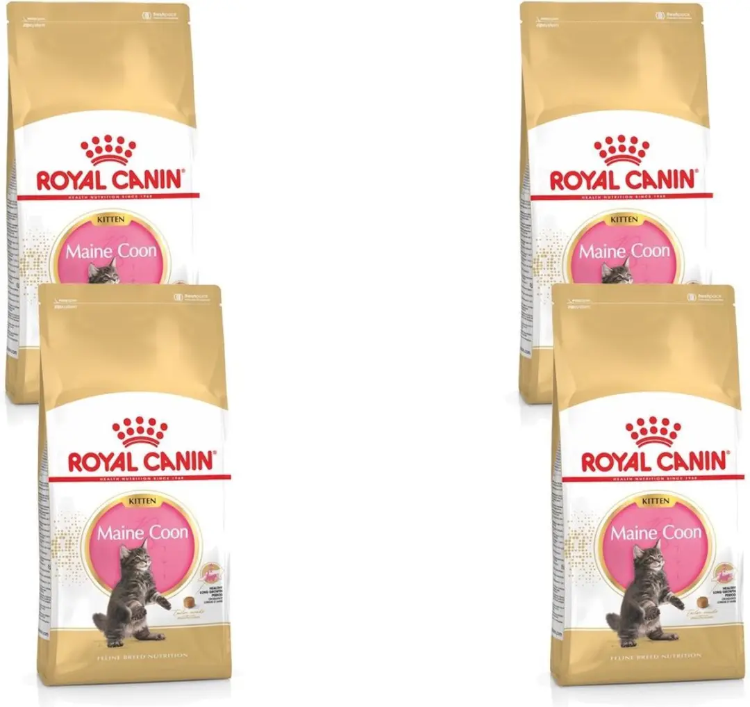 Royal Canin Maine Coon Kitten - 4x4kg - afbeelding 6 van 6