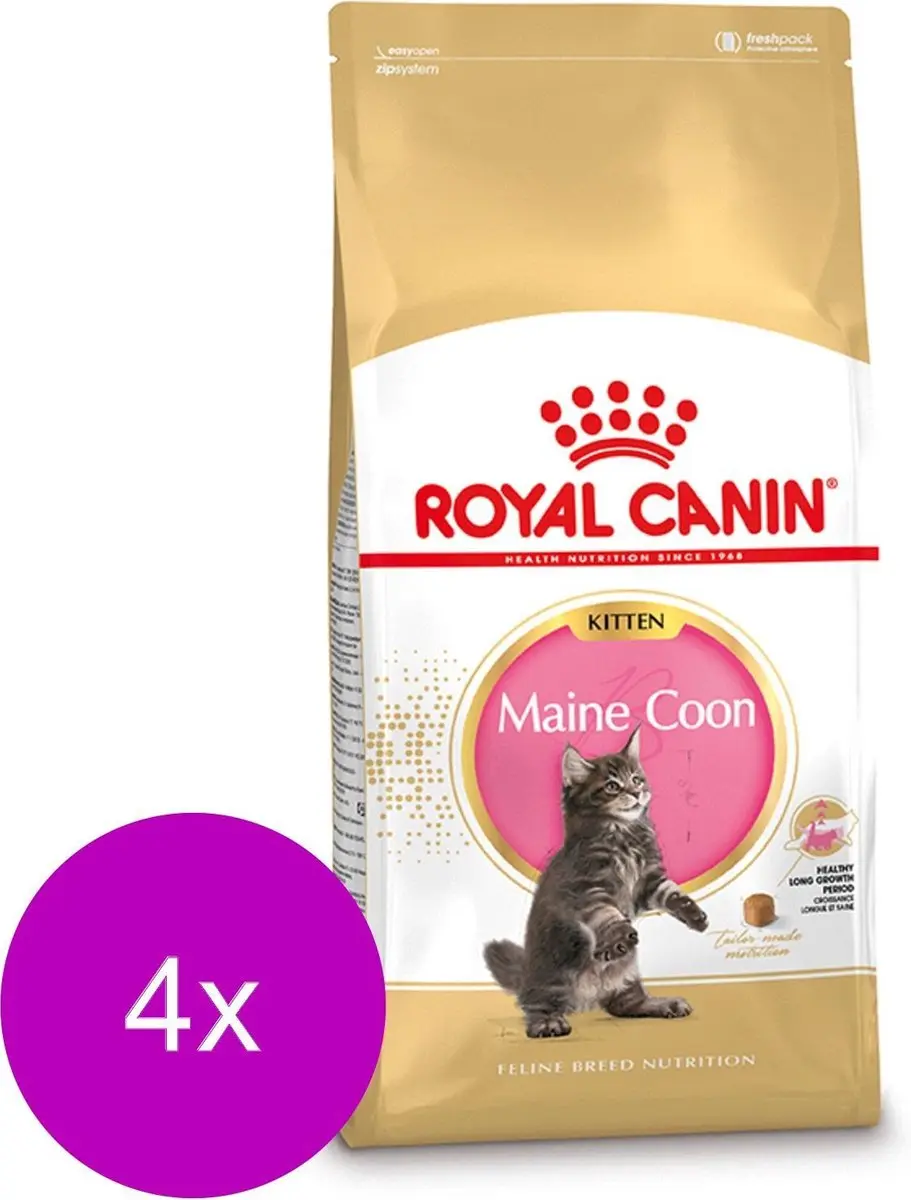 Royal Canin Maine Coon Kitten - 4x4kg