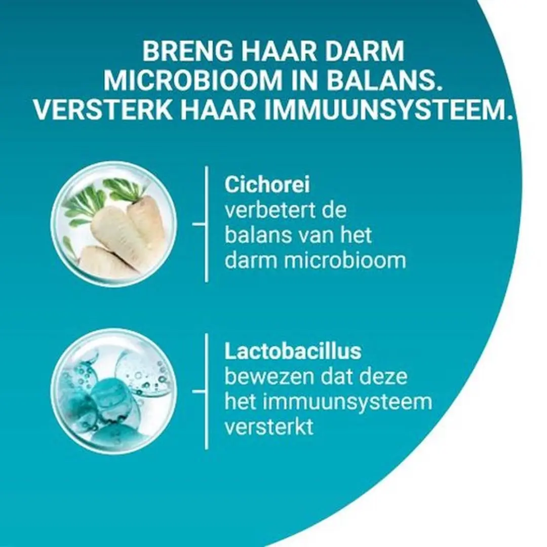 Purina ONE Adult Kattenvoer Droogvoer Zalm & Volkoren 3kg