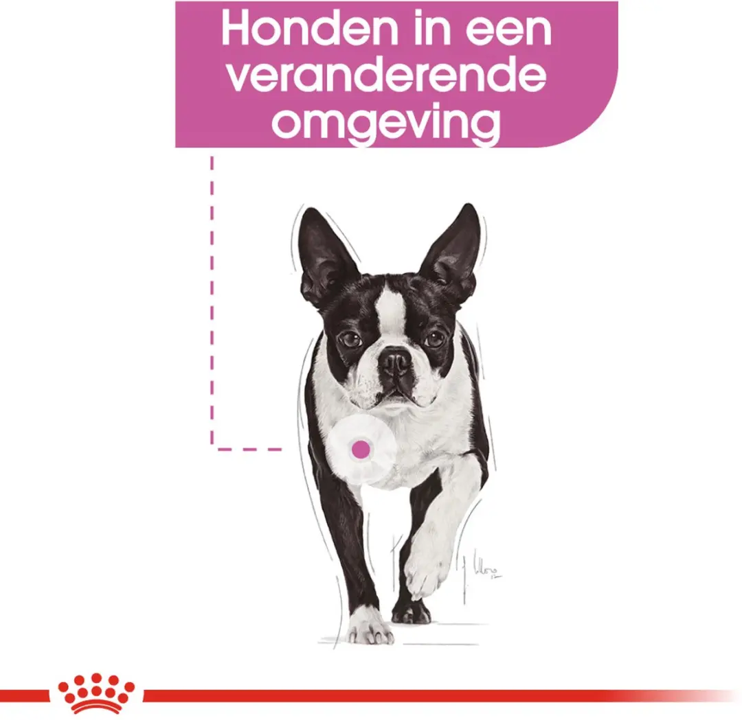Royal Canin Relax Care Natvoer - 12x85g