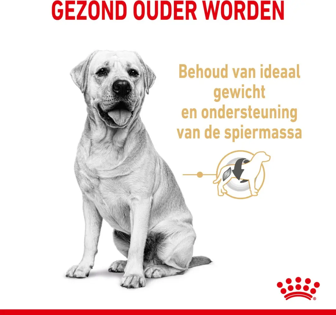 Royal Canin Labrador Retriever Adult 5+ Hondenvoer - 12kg