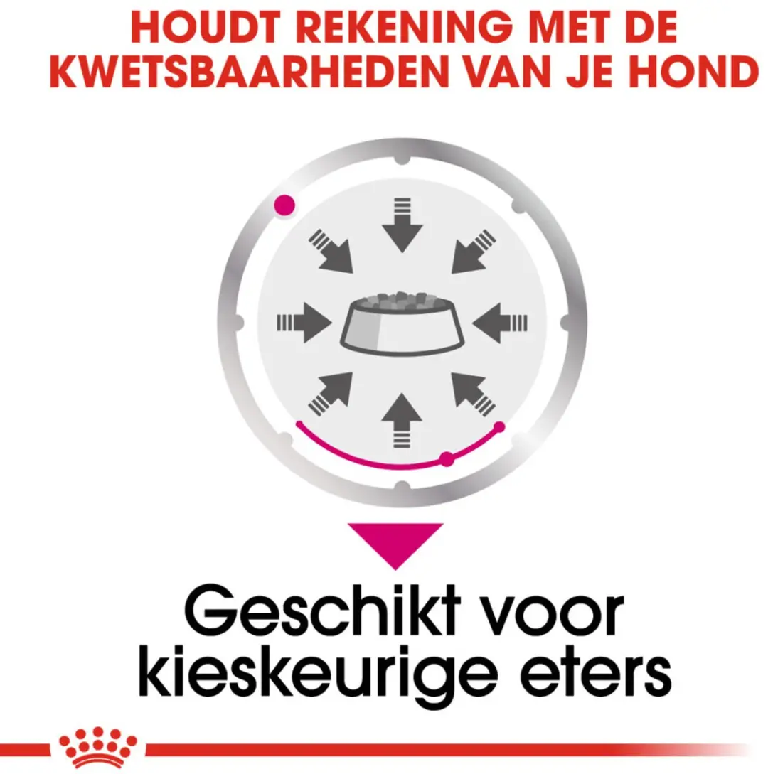 Royal Canin Exigent Hondenvoer Nat - 96x85g
