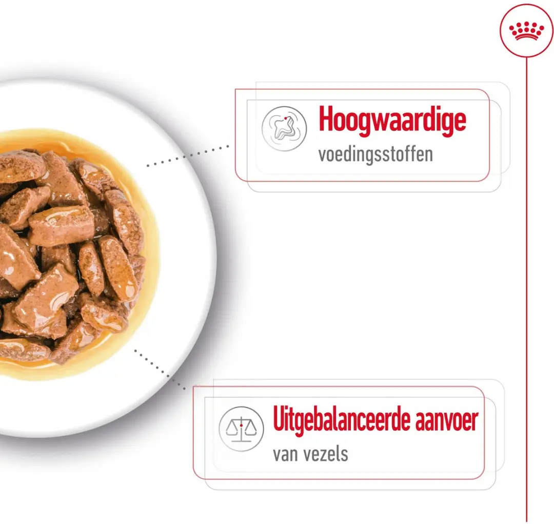 Royal Canin Maxi Adult Hondenvoer - 10x140g