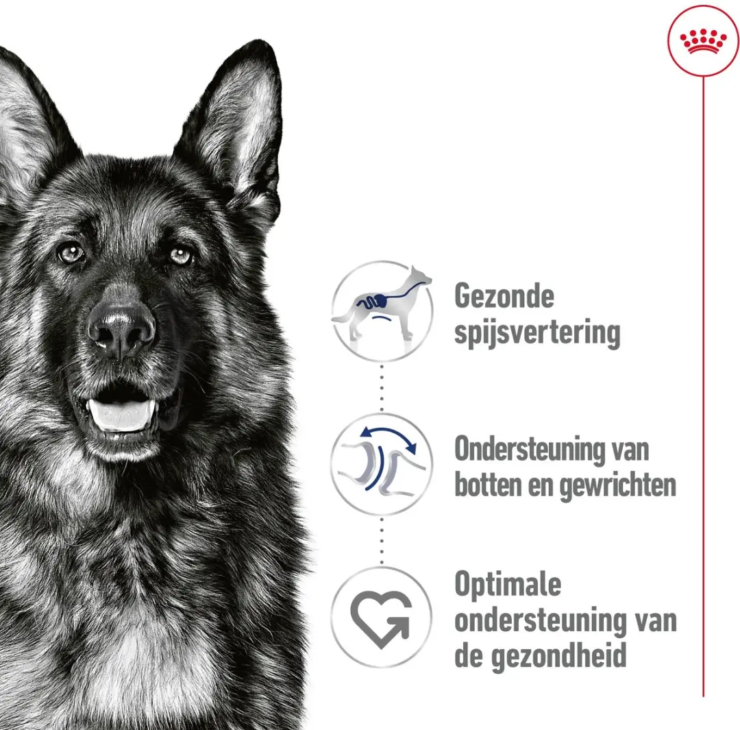 Royal Canin Maxi Adult Hondenvoer - 10x140g