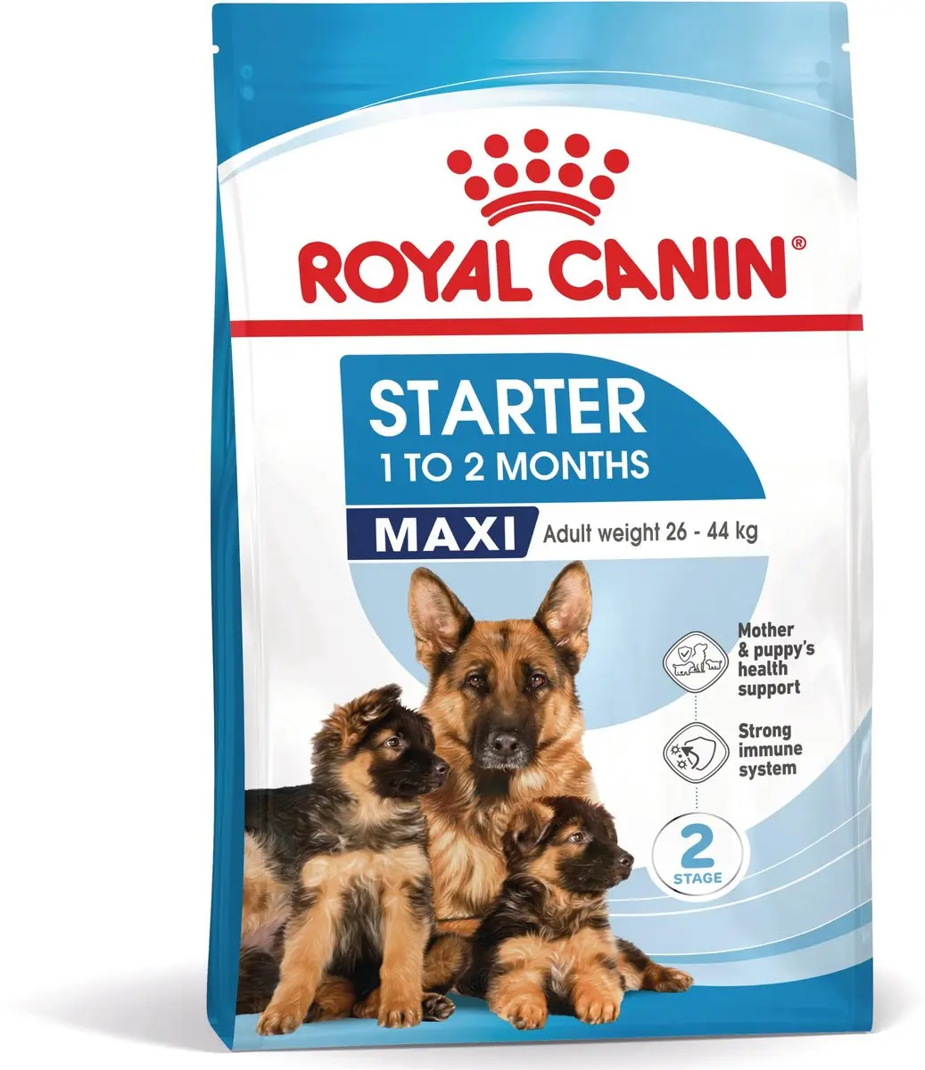 Royal Canin Maxi Starter Moeder & Puppy 4kg