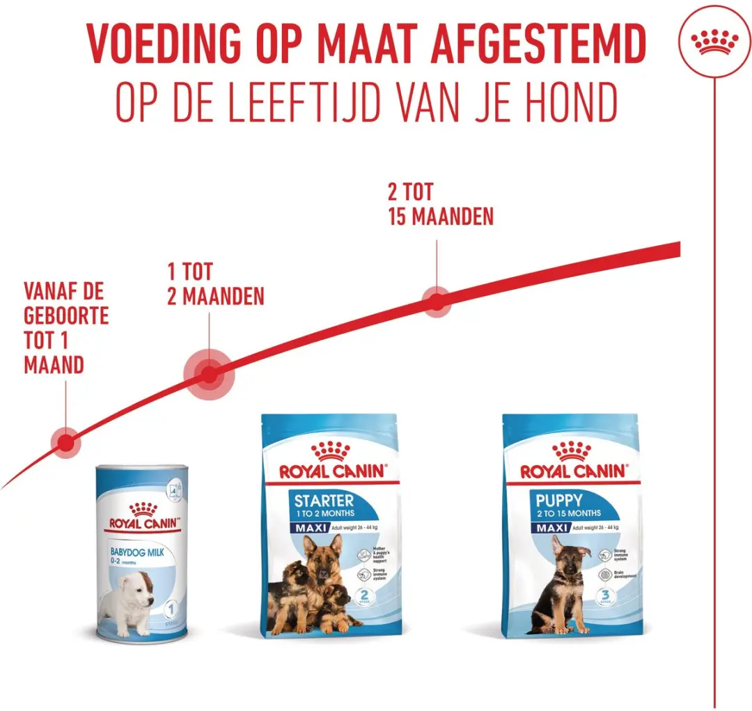 Royal Canin Maxi Starter Moeder & Puppy 4kg