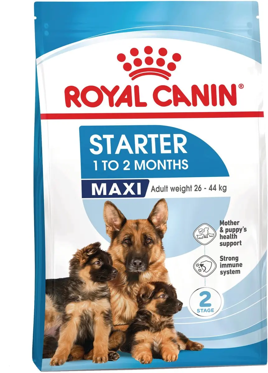 Royal Canin Maxi Starter Moeder & Puppy 4kg