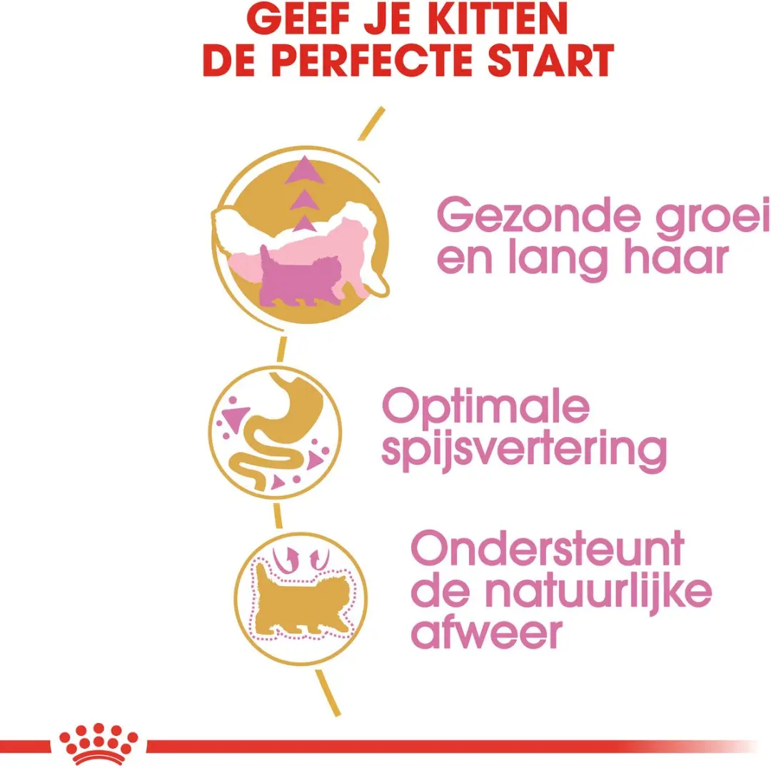 Royal Canin Persian Kitten Kattenvoer - 10 kg