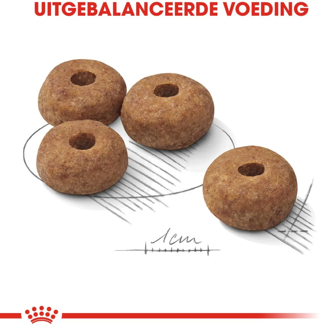 Royal Canin Sterilised Medium Hondenvoer - 12 kg