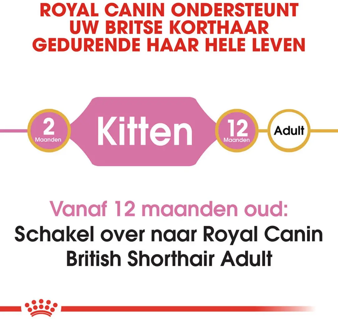 Royal Canin British Shorthair Kitten Kattenvoer 400g