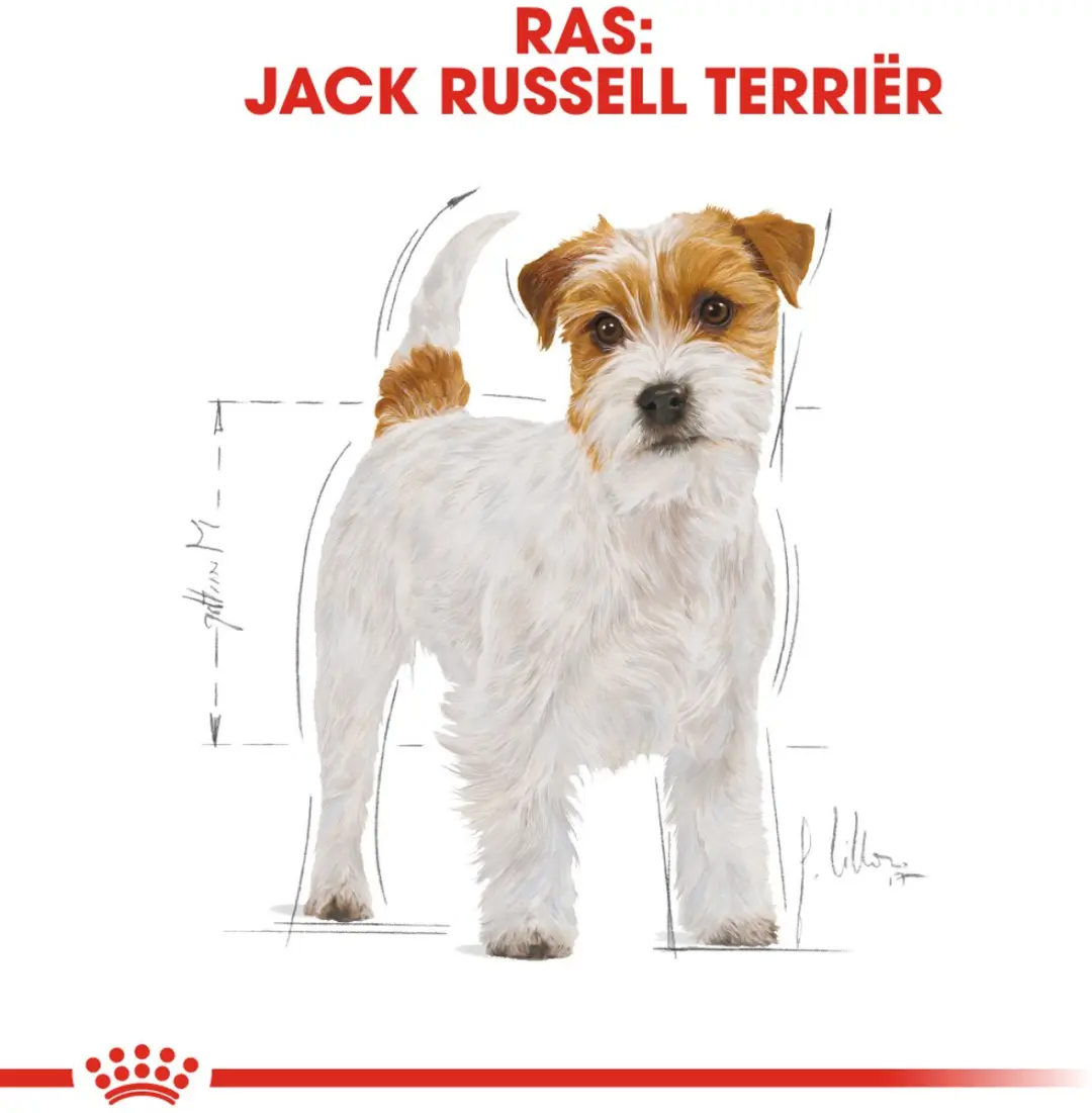 Royal Canin Jack Russell Terrier Adult Hondenvoer - 7,5 kg