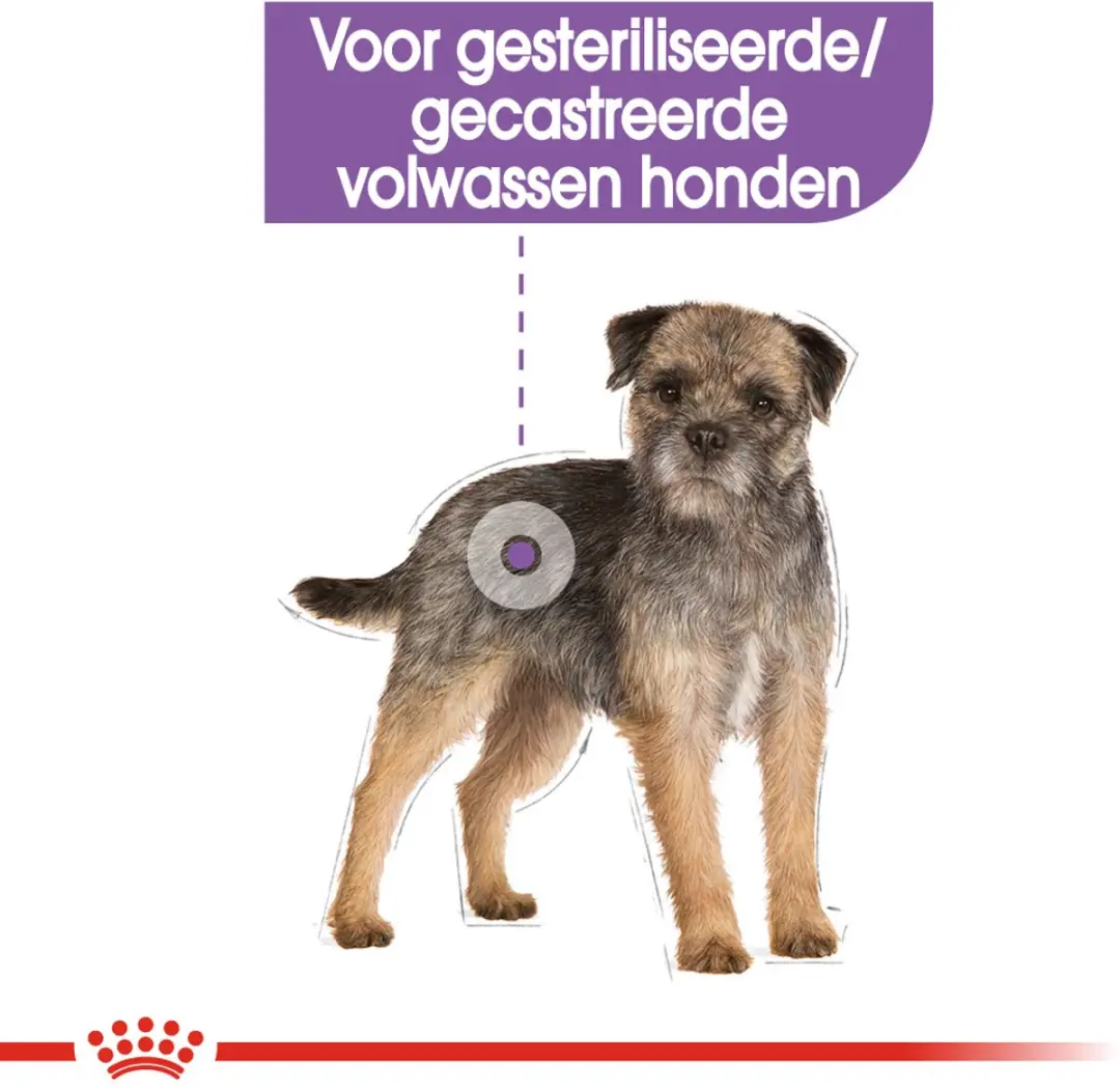 Royal Canin Sterilised Mini Hondenvoer - 1 kg